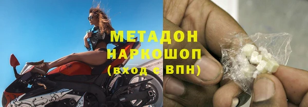 сатива Арсеньев
