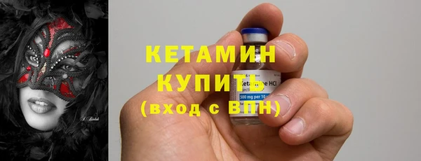 сатива Арсеньев