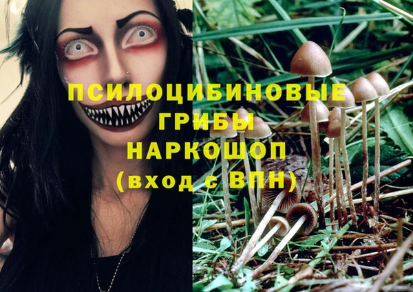 синтетический гашиш Армянск