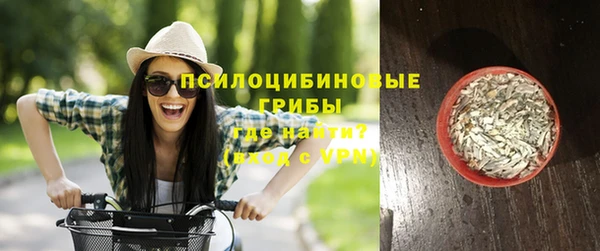 экстази Гусиноозёрск