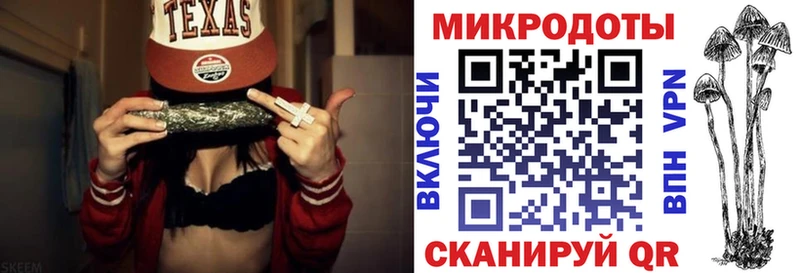 MEGA как войти  Ряжск  маркетплейс формула  Псилоцибиновые грибы Psilocybine cubensis 